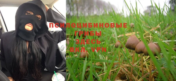 apvp Ростов