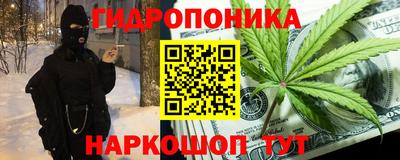 скорость Бийск