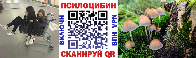 Галлюциногенные грибы Psilocybine cubensis  Сосновоборск 