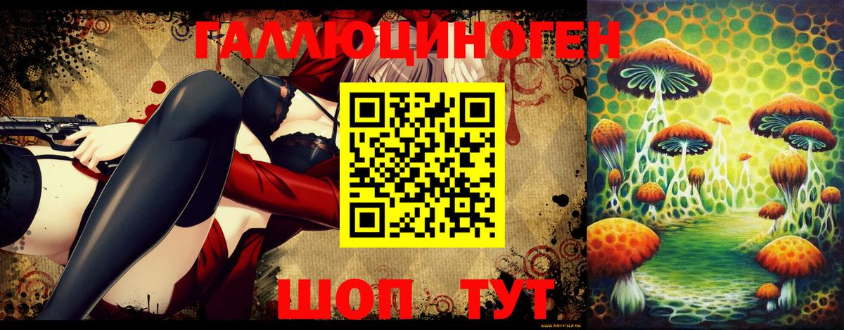 Псилоцибиновые грибы GOLDEN TEACHER  Вход с VPN  Псилоцибиновые грибы прущие грибы  Сосновоборск 