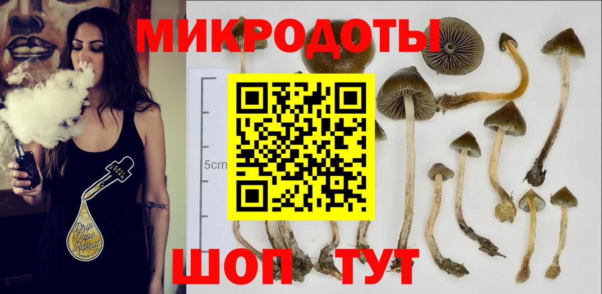 Псилоцибиновые грибы Cubensis  Псилоцибиновые грибы Psilocybe  Сосновоборск 